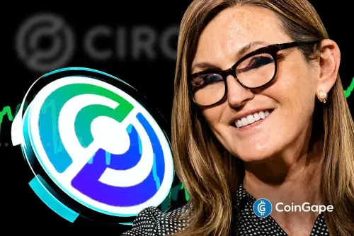 Circle Stock Outlook After Cathie.webp