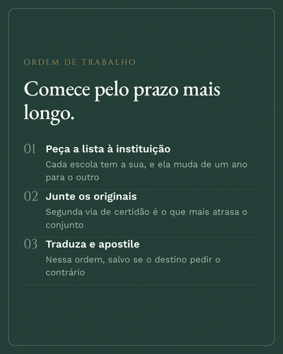 carol intercambio 05.png