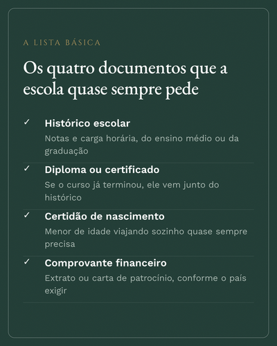 carol intercambio 03.png