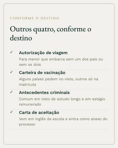 carol intercambio 04.png