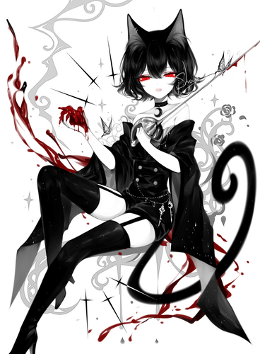 IMG 9466.png