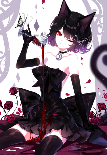 IMG 9465.png