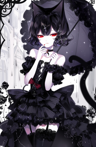 IMG 9462.png
