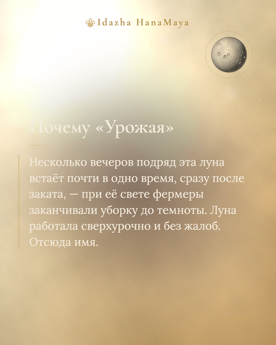 d572653f9630.png