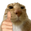 115928 catgoodjob.png