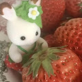 ytmusic 7838c0ffb09ac756.png