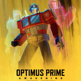 opt01