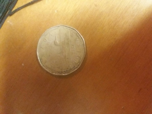 879709f429fa.jpg