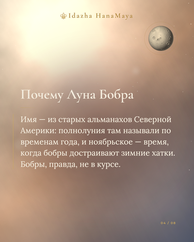 6317606fc395.png