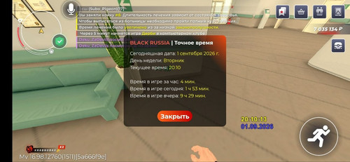 12481.jpg