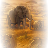 Bild
