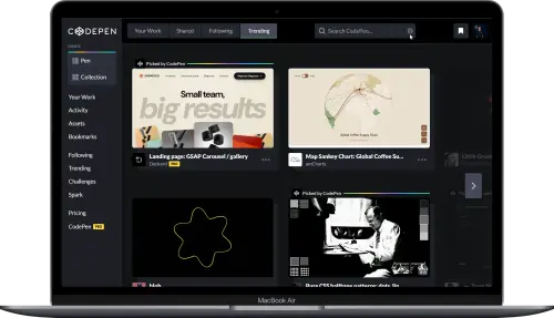 Macbook Air codepen.io.webp