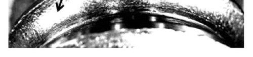 specimen D.jpg