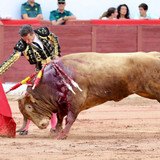 n9ict71.th.jpg