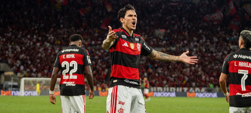 Flamengo MC (Foto boa) Photoroom.png