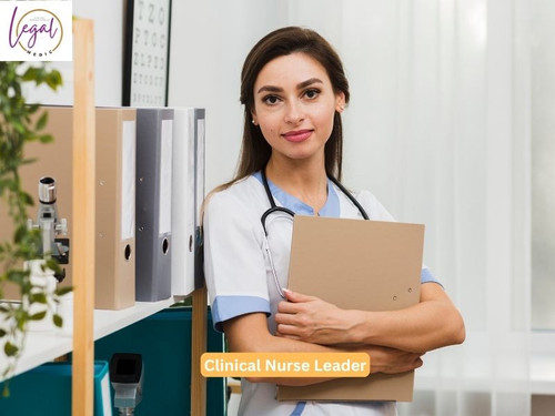The Impact of Clinical Nurse Leaders on Healthcare Quality.jpg