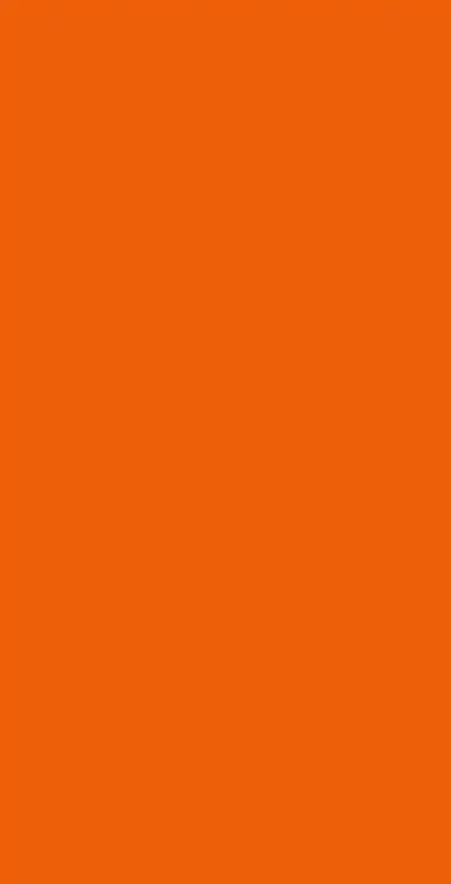 fundo.webp