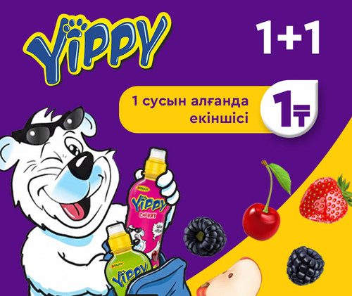 Yippy 1+1 760х640 каз.jpg