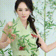 杨幂工作室.gif