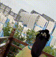 楠妮南.gif