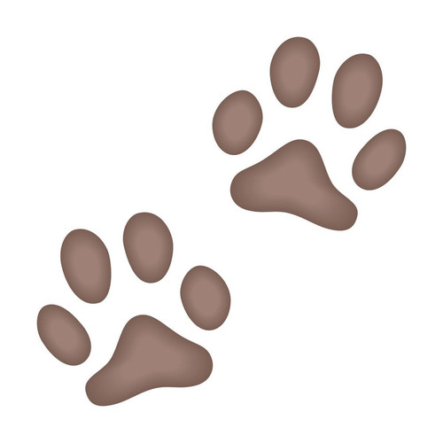 Pet food.jpg