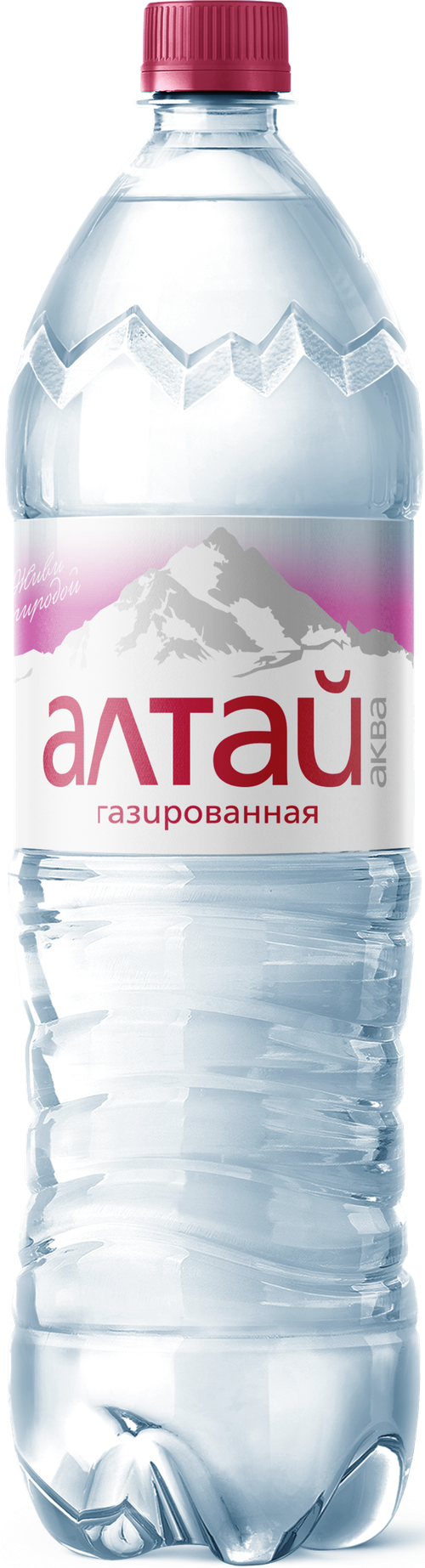 Алтай Аква Газ 1.3.png