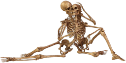 256Skelett02.png
