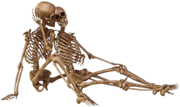 256Skelett04.png