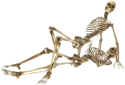 256Skelett01.png