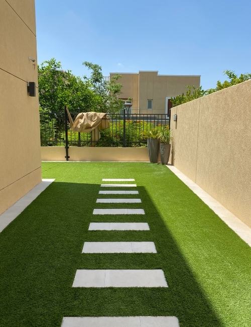 grass1.jpg