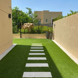 grass1
