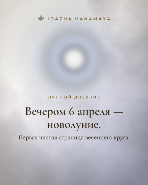 f7320202bb25.png