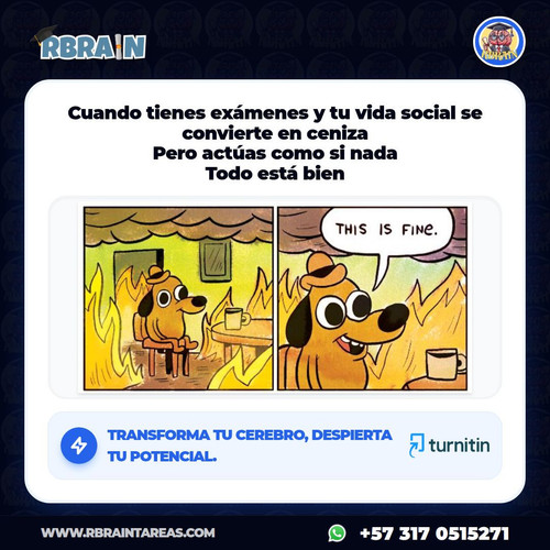 635a485a60b4.jpg