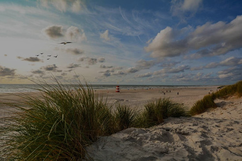 37107545 der henne strand in daenemark QUBG 169693186.jpg