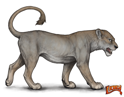 lioden wardrobe (1).png