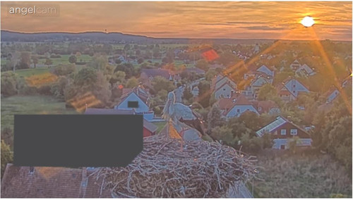 MWSnap027.jpg
