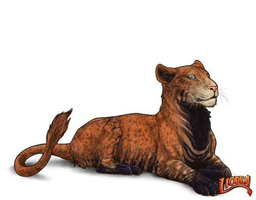 lioden wardrobe (3).png