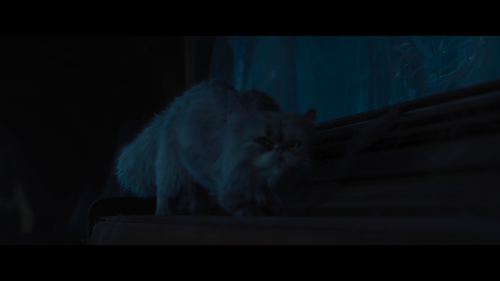 image 1.png