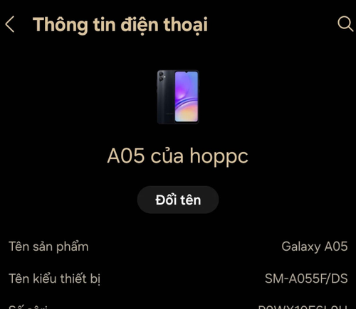 temp.png