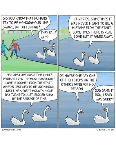 Artist reveals in ironic comics what animals really think 55 Pics 622b0d2d69486 700 bordered.jpg