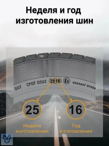 fa6e94769269.jpg