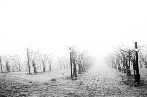 8a6948d8fd88.jpg