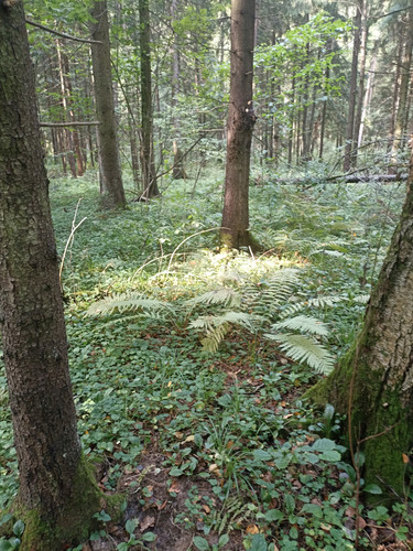 1000026110.jpg