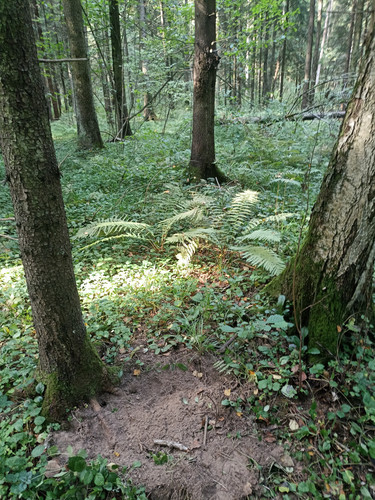1000026113.jpg