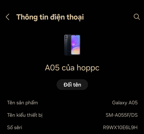 temp.png