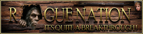 Splint Banner.jpg