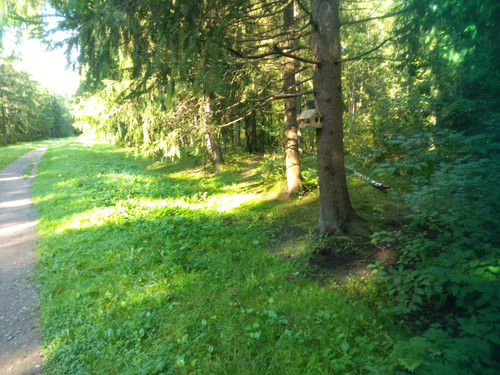IMG20260901091436.jpg