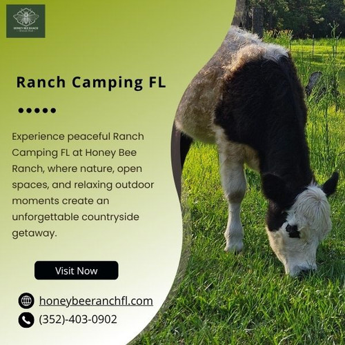 Ranch Camping FL Relax in Nature at Honey Bee Ranch Retreat.jpg