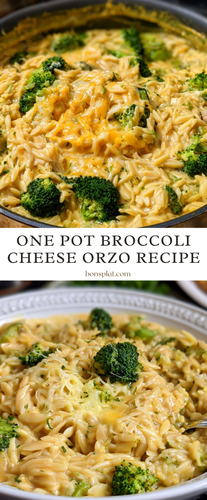 One Pot Broccoli Cheese Orzo (1).png