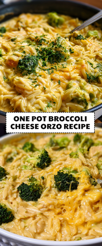 One Pot Broccoli Cheese Orzo (3).png